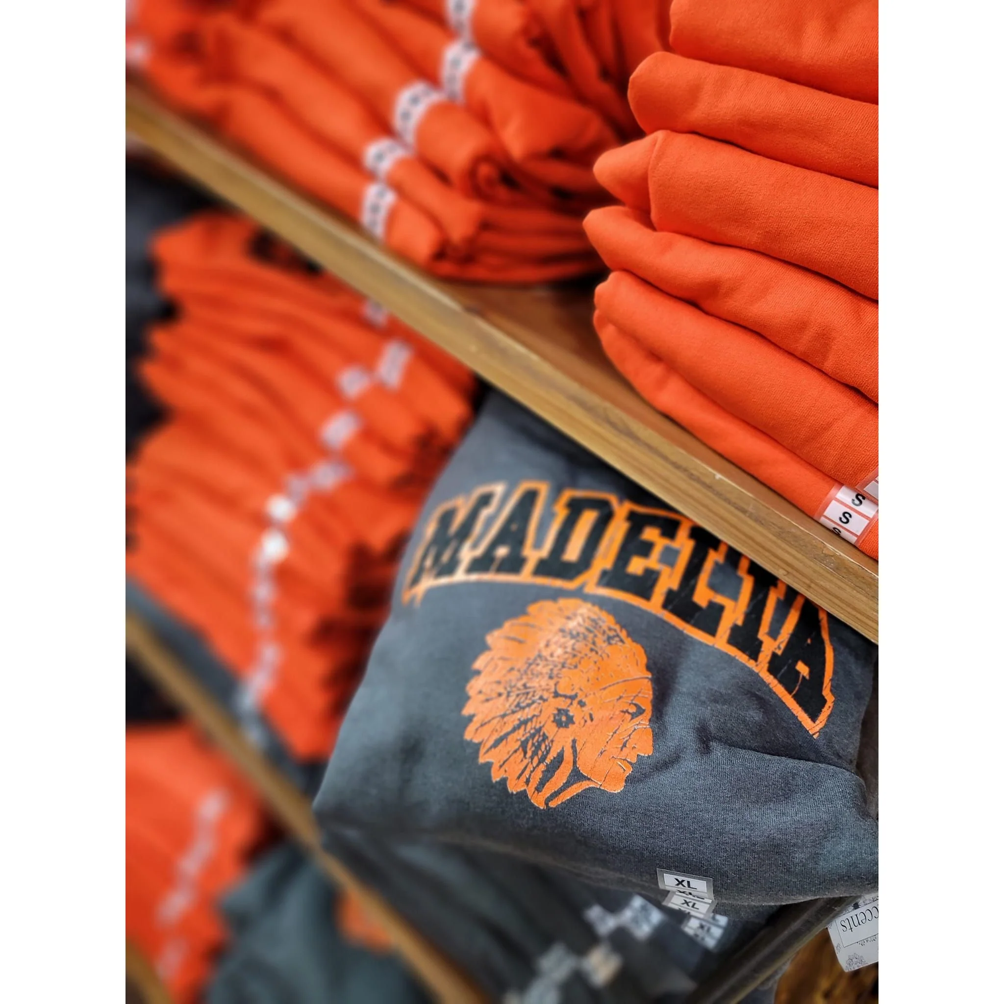 MADELIA Grey Tshirt - "The Original Varsity" - Image 3